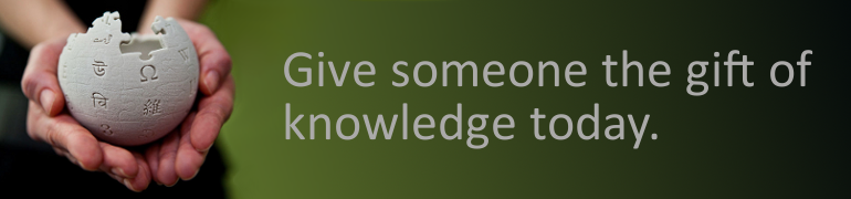 Bannière Fundraising